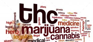 Buy CBD Oil Online Hemp THC Info