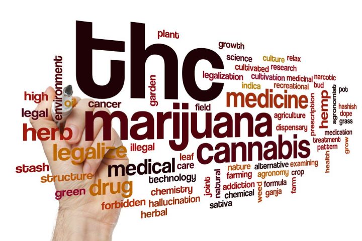 Buy CBD Oil Online Hemp vs Marijuana 4