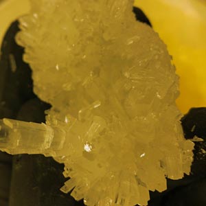 Buy CBD Oil Online CBD Isolate Extract Crystals