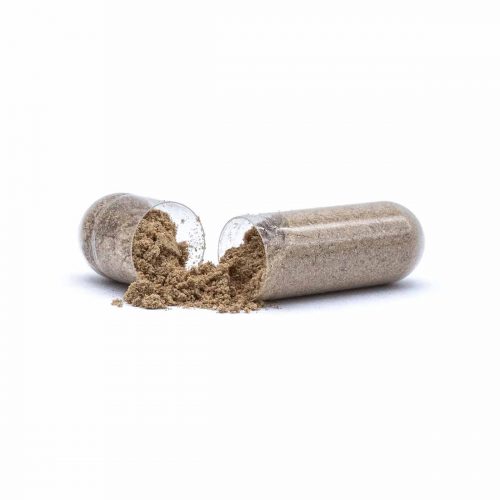 Buy CBD Oil Online Verdant Leaf Organic Mushroom Capsules Chaga Capsule