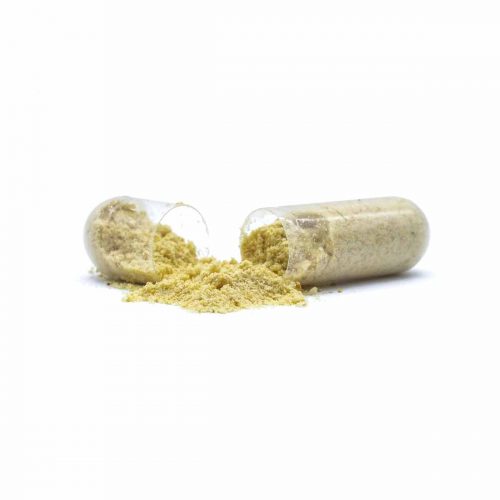 Buy CBD Oil Online Verdant Leaf Organic Mushroom Capsules Cordyceps Capsule