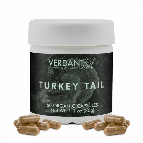 Buy CBD Oil Online Verdant Leaf Organic Mushroom Capsules Turkey Tail Jar